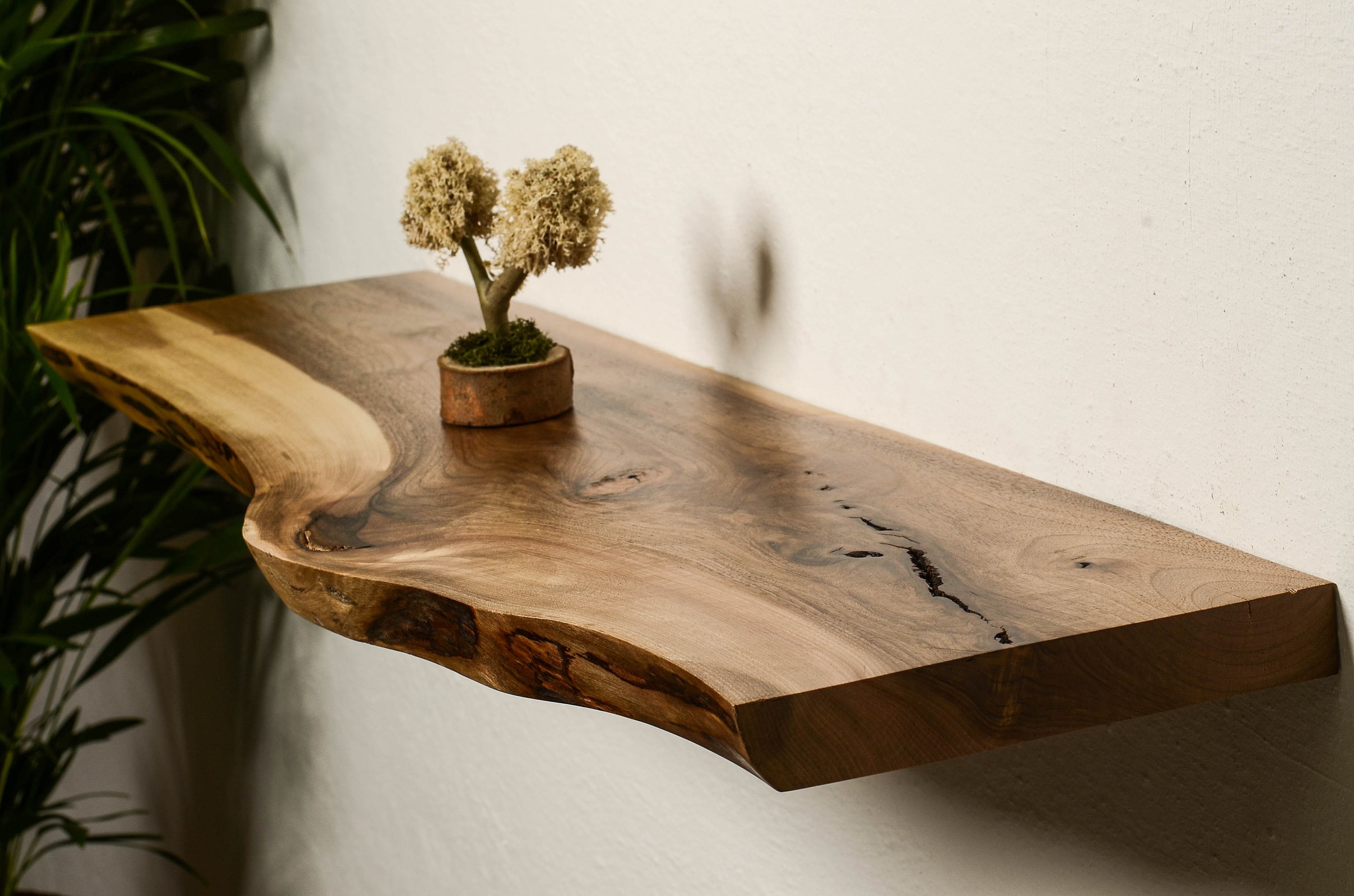 ✨ شلف‌های چوبی؛ هم‌نشینی طبیعت و خلاقیت در طراحی مدرن