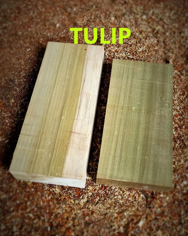 چوب تولیپ (TULIP)